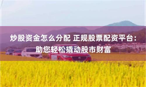炒股资金怎么分配 正规股票配资平台：助您轻松撬动股市财富